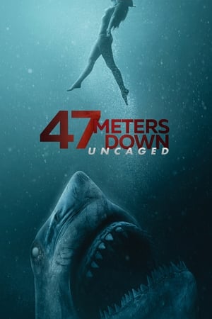 47 Meters Down: Uncaged (2019) Hindi Dual Audio 480p BluRay 400MB