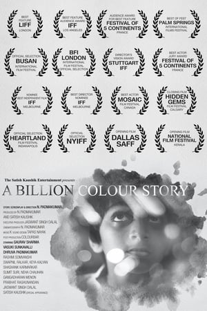 A Billion Colour Story 2016 Movie 480p HDRip - [330MB]