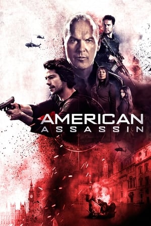 American Assassin (2017) Hindi Dual Audio 480p BluRay 400MB