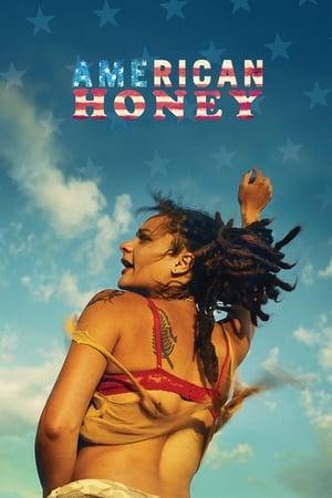 American Honey (2016) Hindi Dual Audio 720p BluRay [1.4GB]