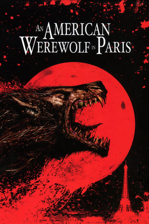 An American Werewolf in Paris 1997 Hindi Dual Audio 480p BluRay 300MB