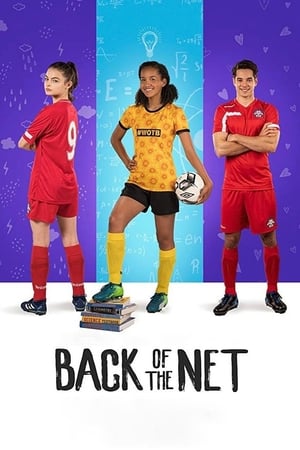 Back of the Net (2019) Hindi Dual Audio 480p Web-DL 300MB