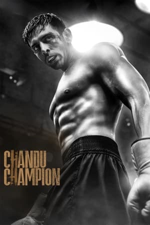 Chandu Champion 2024 Hindi CAMRip 1080p