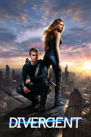 Divergent (2014) Hindi Dual Audio 720p BluRay [1.3GB]