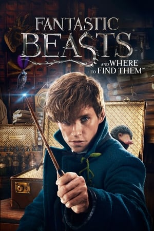 Fantastic Beasts and Where to Find Them 2016 Dual Audio (Hindi) 480p Bluray [300MB]