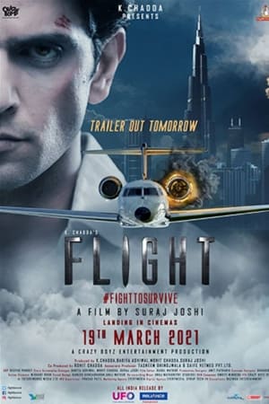 Flight 2021 Hindi Movie 480p HDRip – [300MB]