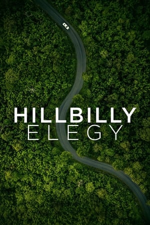 Hillbilly Elegy 2020 Hindi Dual Audio 480p WebRip 350MB