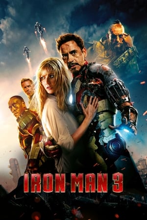 Iron Man 3 (2013) Hindi Dual Audio 720p BluRay [1GB]