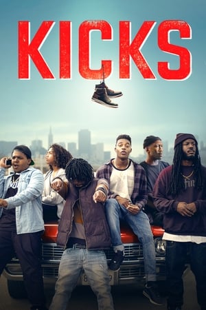 Kicks (2016) Hindi Dual Audio 480p BluRay 300MB
