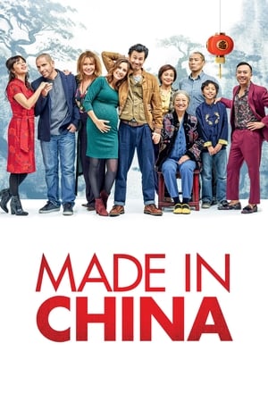 Made in China (2019) Hindi Movie 480p HDRip - [340MB]