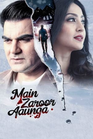 Main Zaroor Aaunga 2019 Hindi Movie 480p HDRip - [260MB]