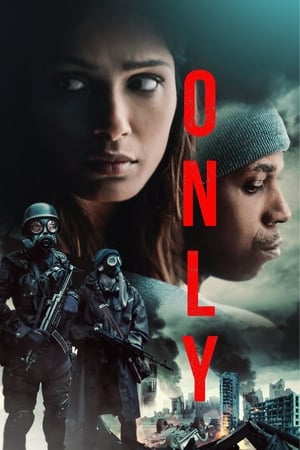 Only 2019 Hindi Dual Audio 480p Web-DL 300MB