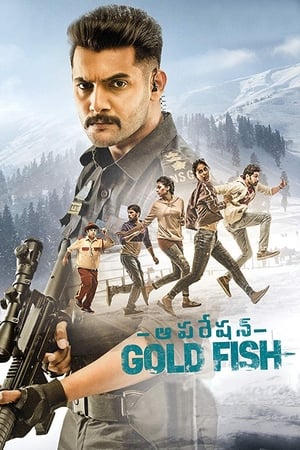 Operation Gold Fish 2019 (Hindi - Telugu) Dual Audio 720p UnCut HDRip [1GB]