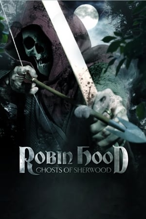 Robin Hood: Ghosts of Sherwood (2012) Hindi Dual Audio 480p BluRay 350MB