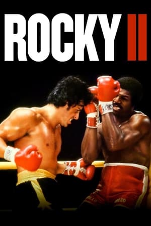 Rocky II (1979) Dual Audio Hindi Full Movie 720p Bluray - 850MB