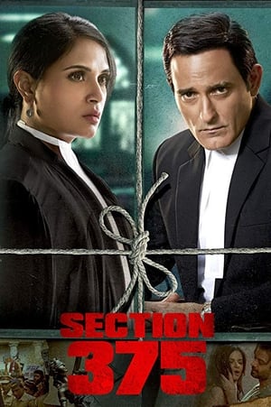 Section 375 (2019) Hindi Movie 480p HDRip - [360MB]