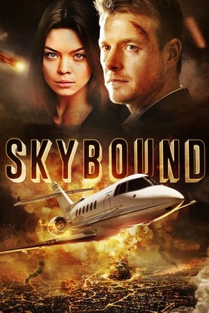 Skybound (2017) Hindi Dual Audio 480p BluRay 350MB