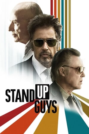 Stand Up Guys (2012) Hindi Dual Audio 720p BluRay [800MB]