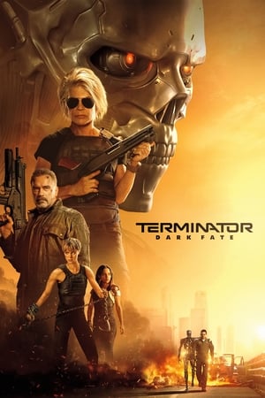 Terminator: Dark Fate (2019) Hindi (Org) Dual Audio 480p BluRay 400MB