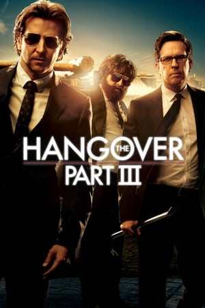 The Hangover Part III (2013) Hindi Dual Audio 480p BluRay 300MB