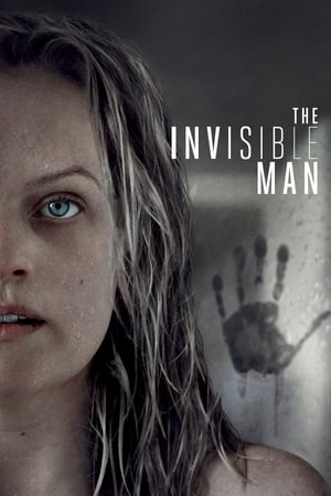 The Invisible Man (2020) Hindi (ORG) Dual Audio 480p BluRay 400MB