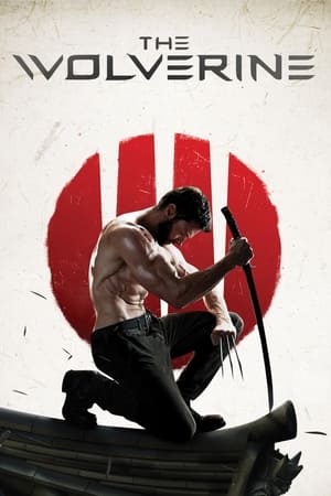 The Wolverine (2013) Hindi Dual Audio 720p BluRay [1.2GB]