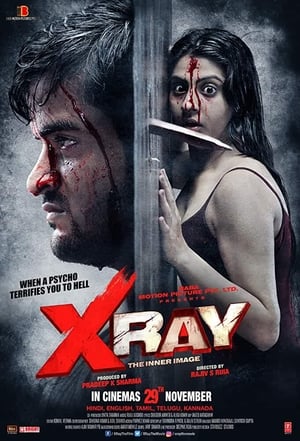 X Ray The Inner Image 2019 Hindi Movie 720p HDRip x264 [900MB]